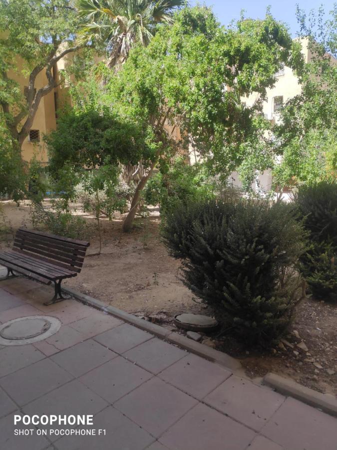 סוויטה של אלון Appartement Arad Buitenkant foto