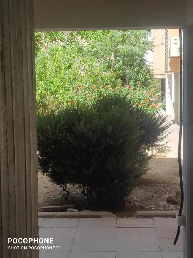 סוויטה של אלון Appartement Arad Buitenkant foto